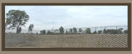 Enlarged view of photo