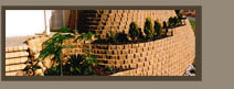 Enlarged view of photo
